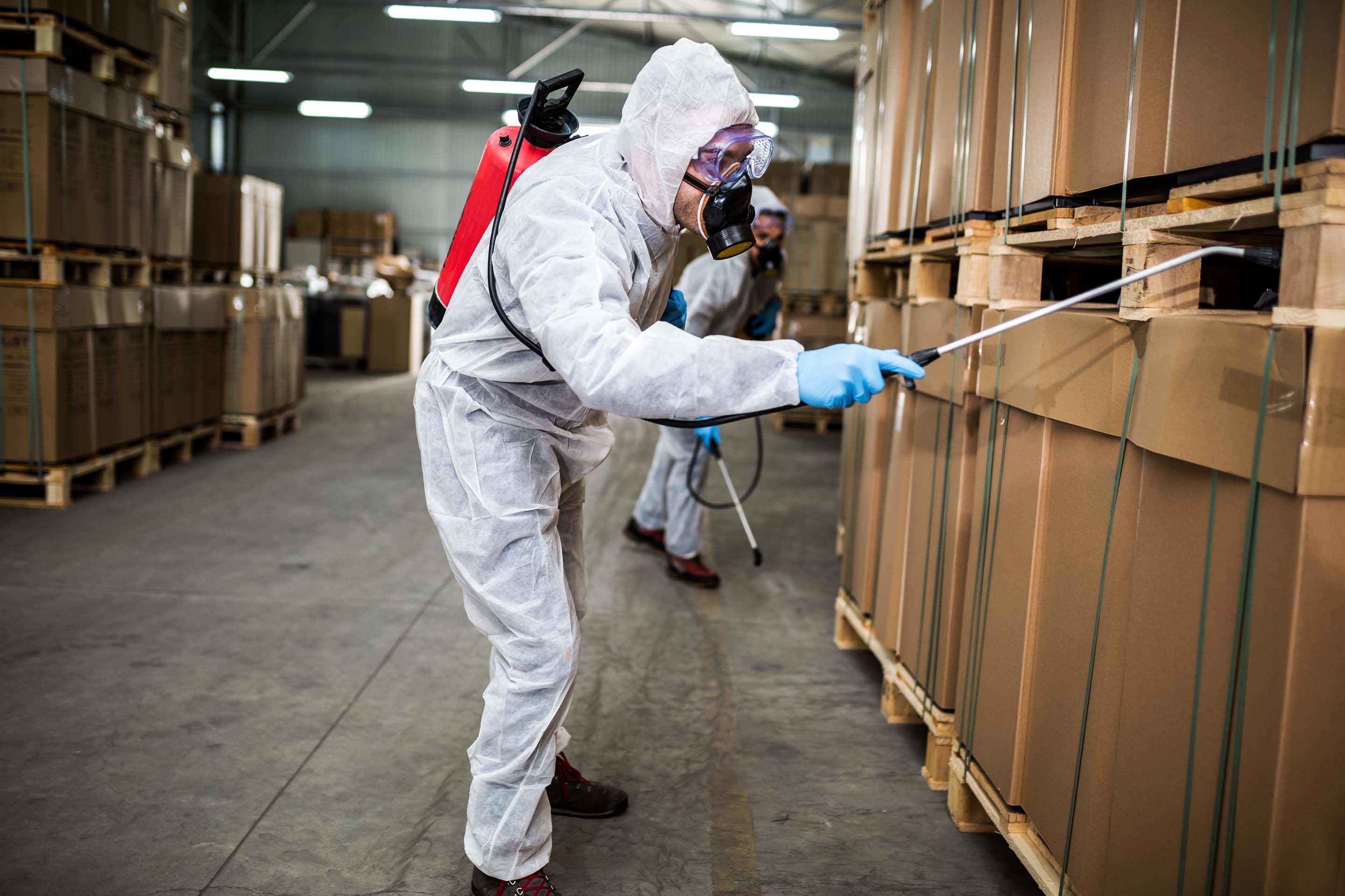Pest control Sydney - Pestology complete commercial pest control services