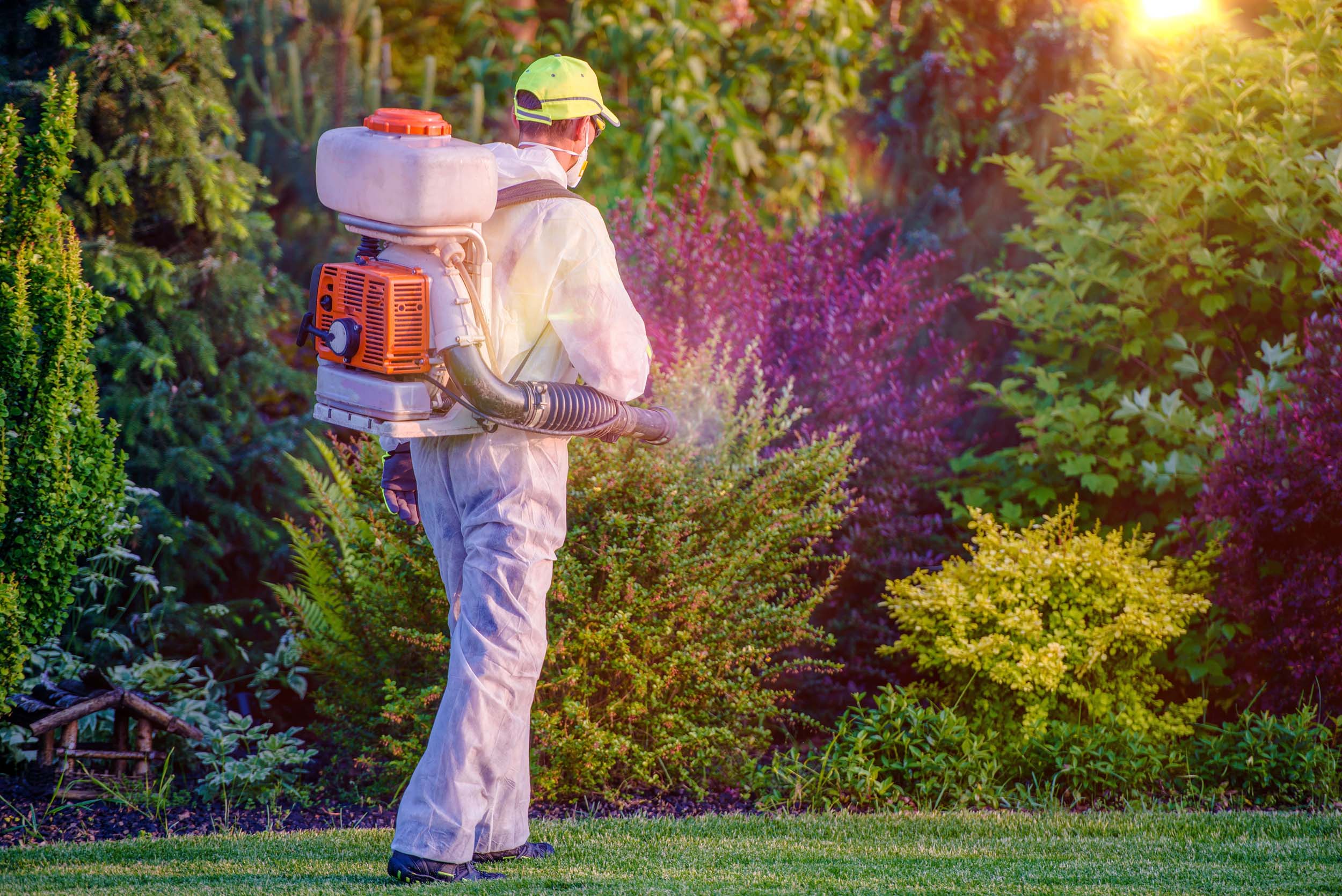 Residential Pest Control Sydney - Protection all year round from pestology